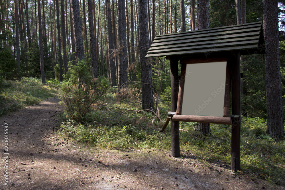 information board in the forest
information board in the forest