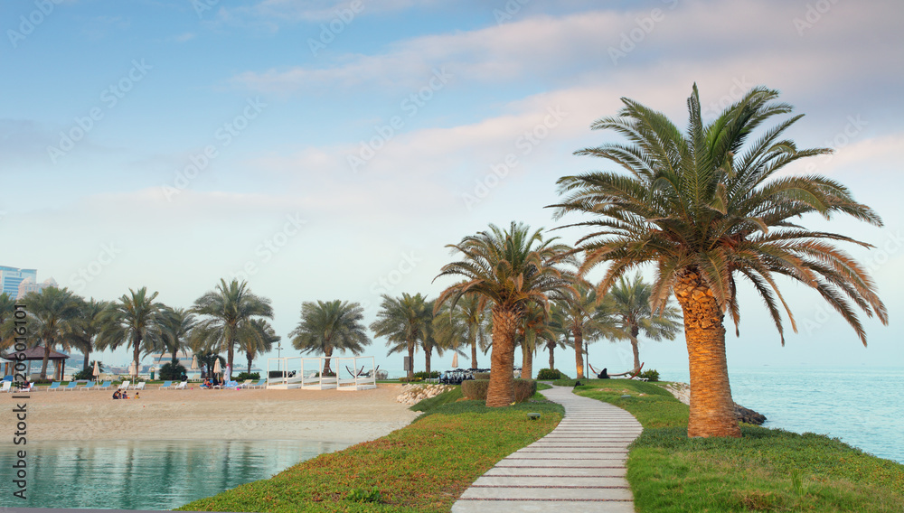 Qatar coast with palms, Doha