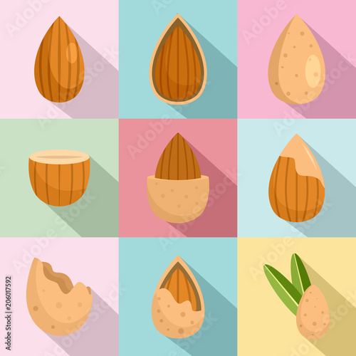 Almond walnut oil seed icons set. Flat illustration of 9 almond walnut oil seed vector icons for web