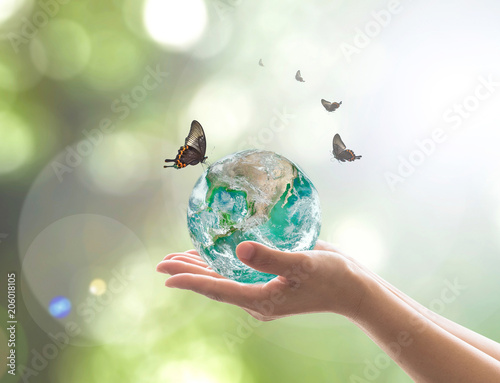 Fototapeta Naklejka Na Ścianę i Meble -  World environment day and environmental eco friendly concept with green earth on volunteer's hands. Element of image furnished by NASA