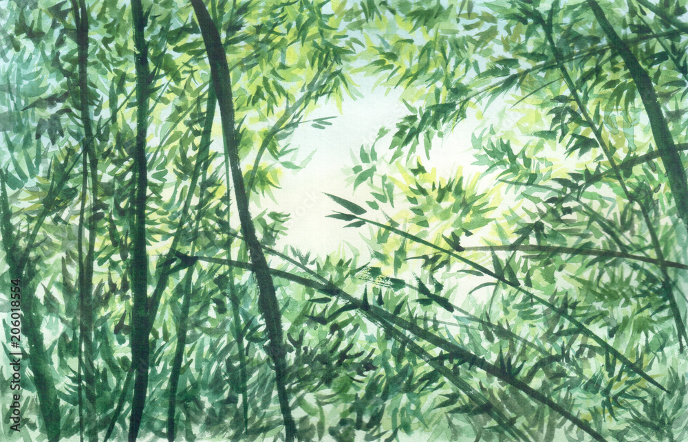 Obraz Ręcznie rysowane akwarela ilustracja gałęzi, liści, bambusa i niebo