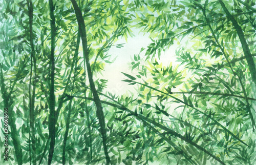 Obraz na płótnie Ręcznie rysowane akwarela ilustracja gałęzi, liści, bambusa i niebo