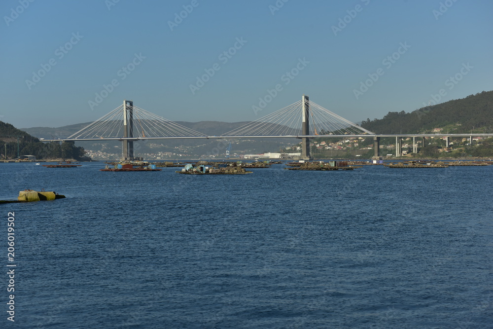 Fototapeta premium Puente de Rande sobre la Ría de Vigo