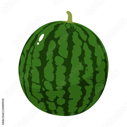 すいか。新鮮な果物のイラスト。
