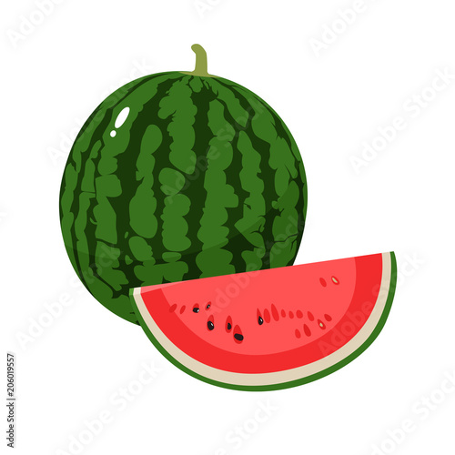 すいか。新鮮な果物のイラスト。