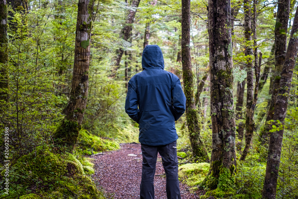 A backpacker man with trekking gears walking on the path in the green fresh rainforest. A backpacker man with trekking gears walking on the path in the green fresh rainforest.