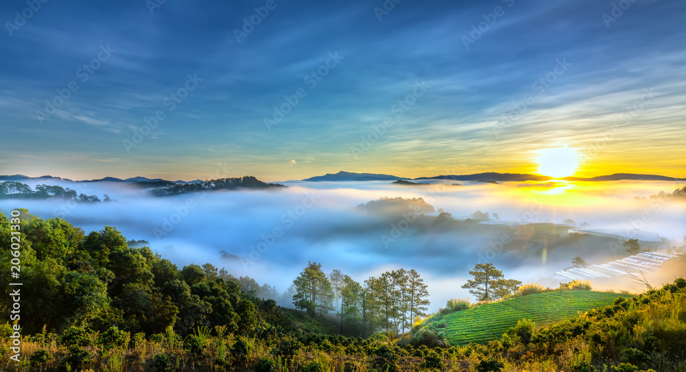 Fototapeta premium Sunrise over hillside as the sun rising from horizon reflect light bright yellow sky. Below cloudy mist covered valleys flooded pine forests create impressive beauty highlands in morning.