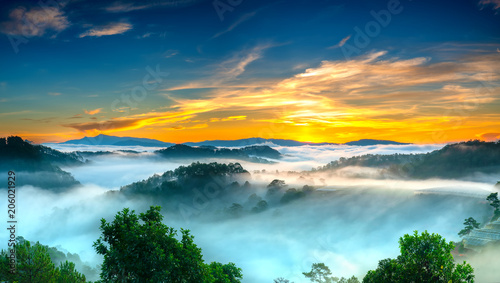Fototapeta Naklejka Na Ścianę i Meble -  Sunrise over hillside as the sun rising from horizon reflect light bright yellow sky. Below cloudy mist covered valleys flooded pine forests create impressive beauty highlands in morning.