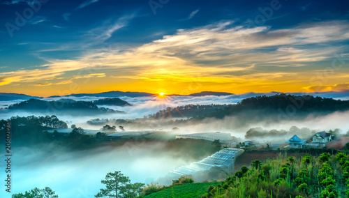 Sunrise over hillside as the sun rising from horizon reflect light bright yellow sky. Below cloudy mist covered valleys flooded pine forests create impressive beauty highlands in morning.