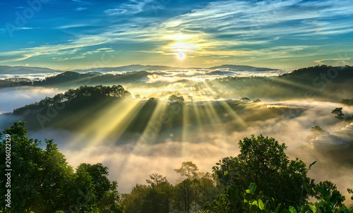 Sunrise over hillside a pine forest with long sun rays pass through valley with pines yellow sunny mornings this place more lively, warm and tranquil welcome to beautiful new day