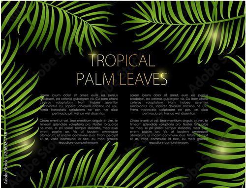Palm leaves vector background.