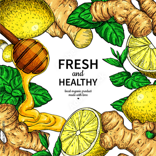 Honey, ginger, lemon and mint vector frame drawing. Wooden spoon, honey drop,