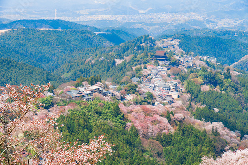 奈良の春の風景　満開の桜　吉野　奈良　日本
