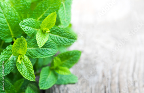 Fresh mint leaf,  lemon balm herb on wooden background with copyspace, close up. Top view.