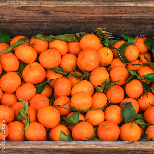Citrus. Fresh oranges in a box on display at a farmers market or store. Harvest concept. Top view