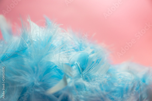 soft and blur style selective focus Pastel blue turquoise colored of chicken feathers on pink background  copy space