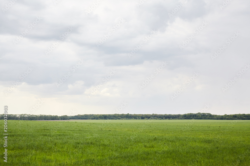 Green field with white cloud Green field with white cloud