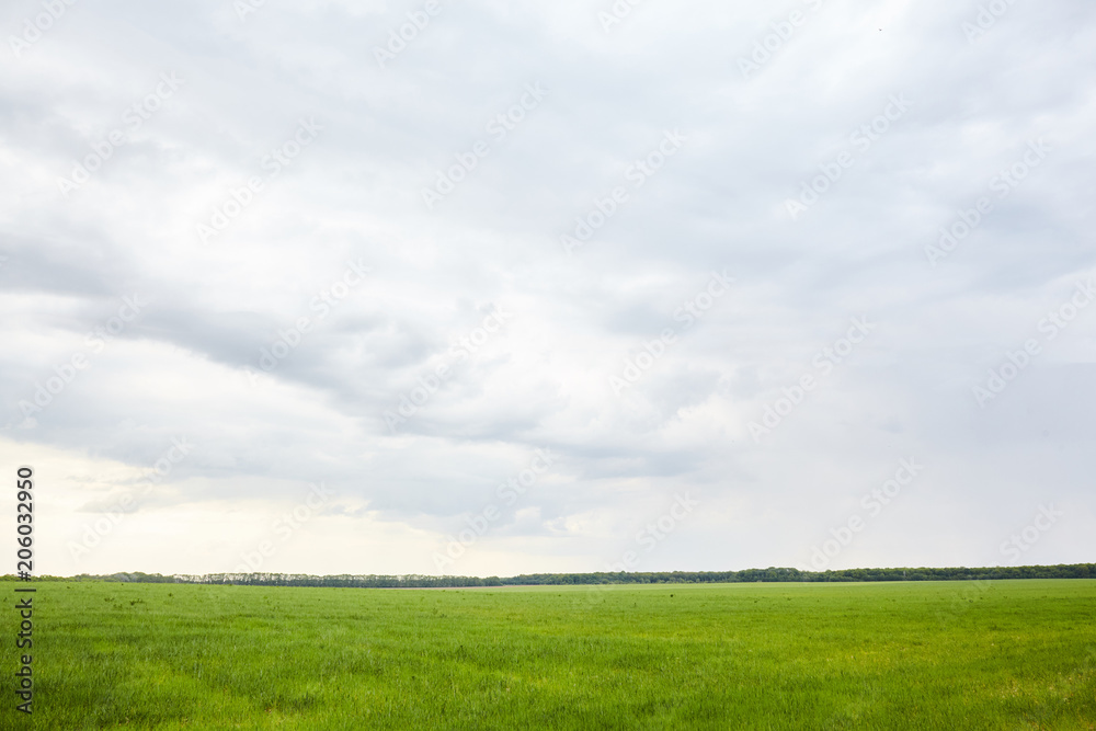 Green field with white cloud Green field with white cloud
