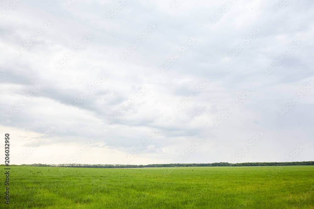 Green field with white cloud