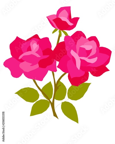 Rose