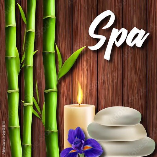 A poster of the Salon Spa. Realistic bamboo on a wooden background