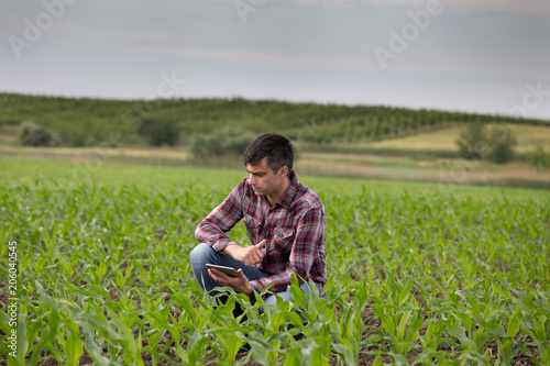 Wallpaper Mural Farmer with tablet in corn field in spring Torontodigital.ca
