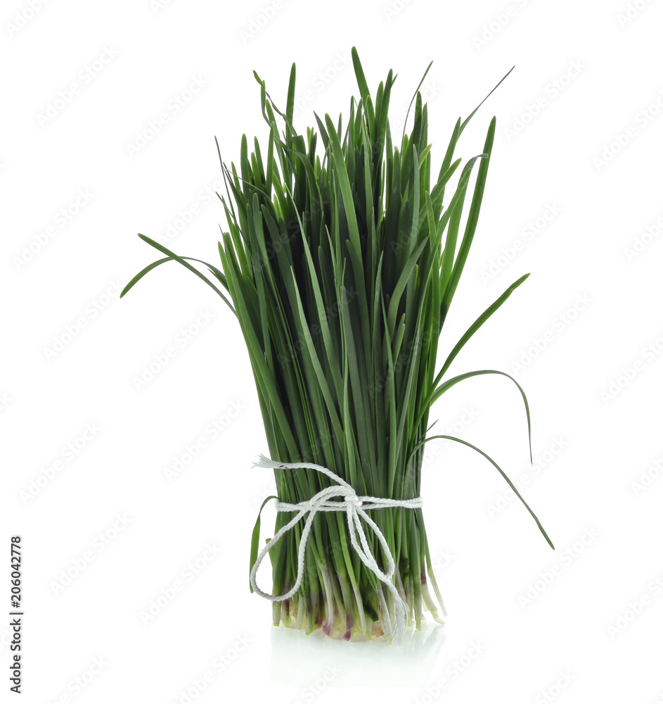 Garlic chives isolated on white background Garlic chives isolated on white background
