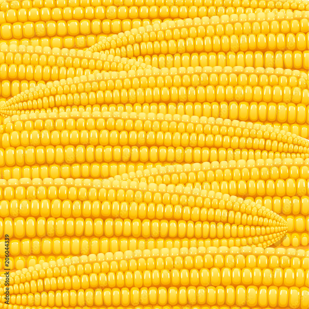 Corn cob. Organic food pattern. Corncob natural meal. Ripe Corn cob. Organic food pattern. Corncob natural meal. Ripe
