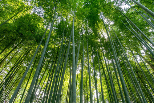 すずめのお宿緑地公園