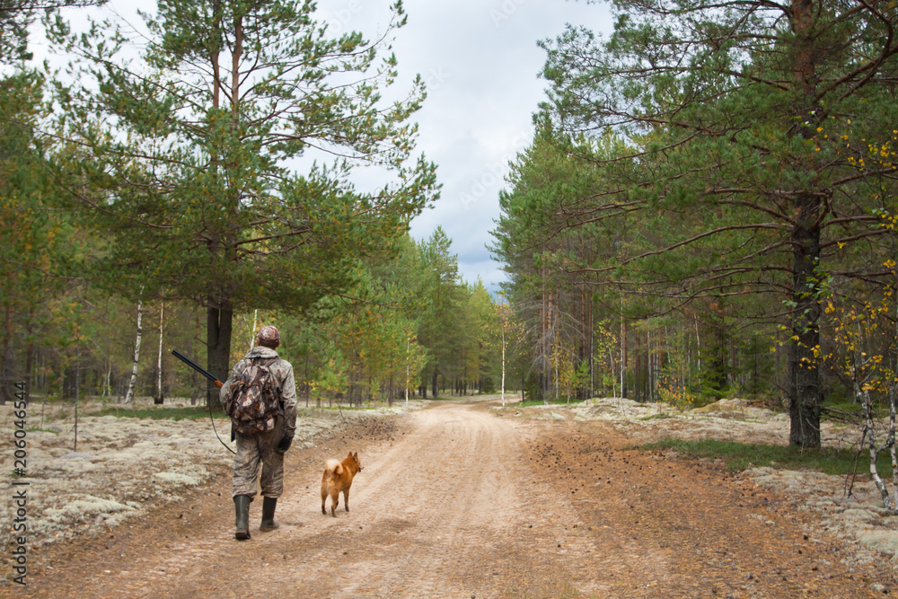 Naklejka premium hunter walking on the forest road