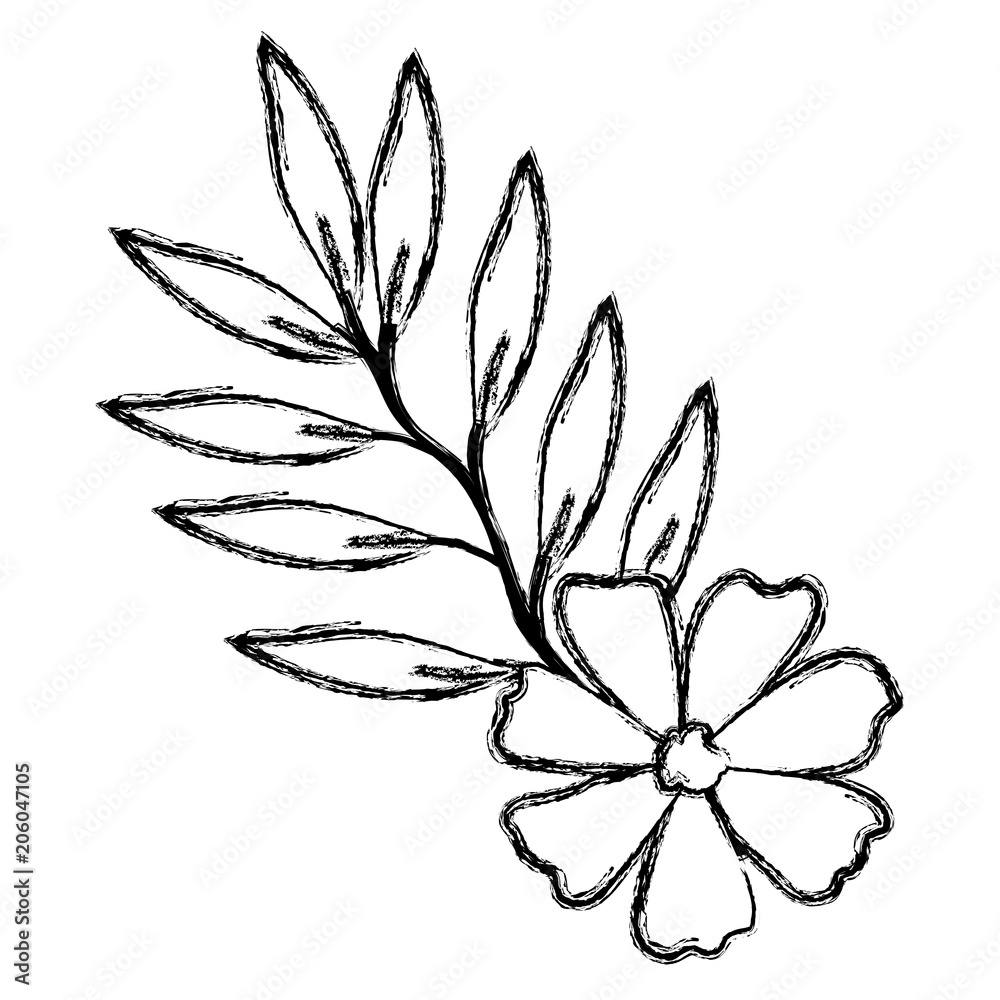 flower and leafs decorative icon vector illustration design flower and leafs decorative icon vector illustration design