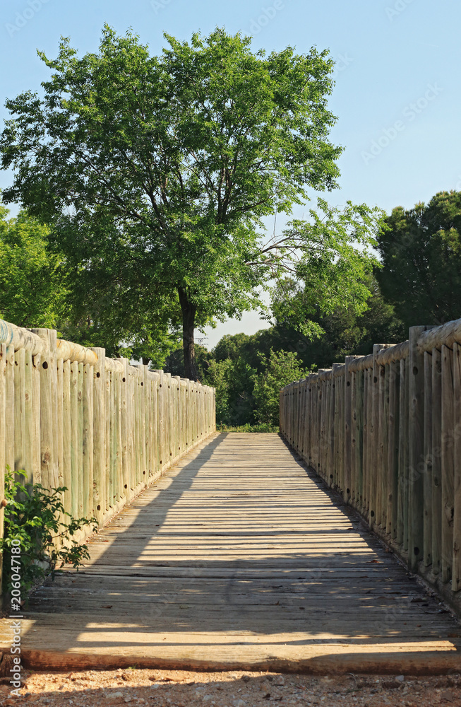 Wooden footbridge in the park
