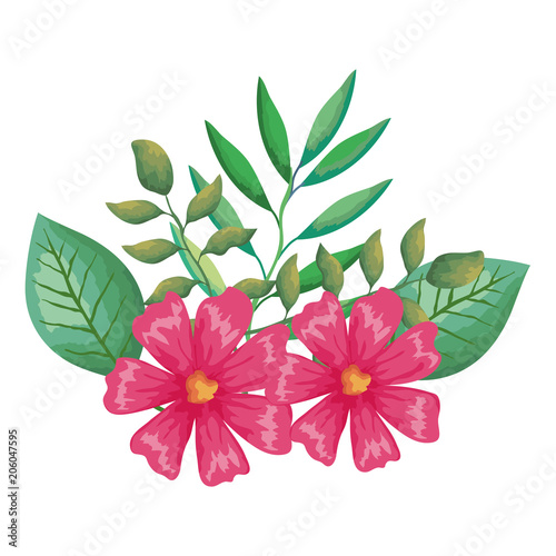 flower and leafs decorative icon vector illustration design