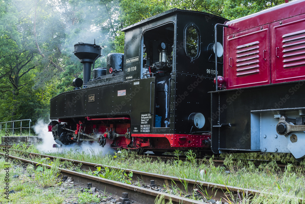 Kleine Dampflokomotive, Schmalspurbahn, deutsche Dampflokomotive im Wald, Parkbahn im Wald, Parkbahn Wuhlheide