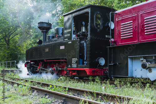 Kleine Dampflokomotive, Schmalspurbahn, deutsche Dampflokomotive im Wald, Parkbahn im Wald, Parkbahn Wuhlheide