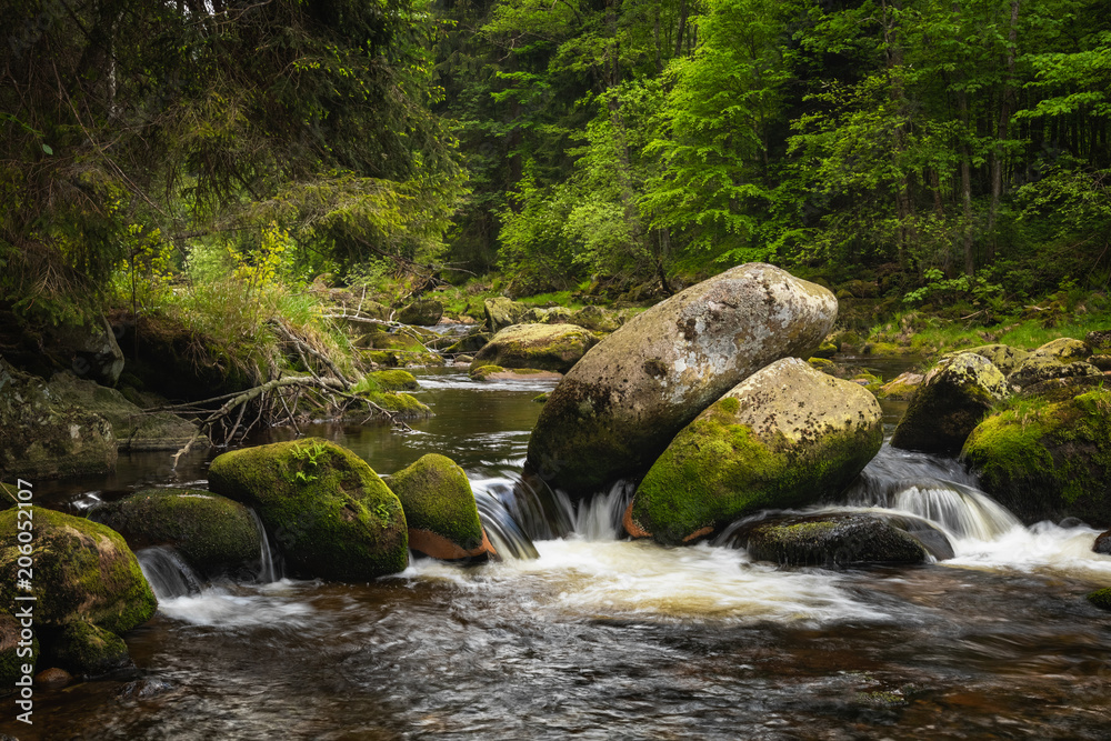 Small waterfall in green Spruce forest with big rocks around, Vydra river in Sumava, Czech Republic