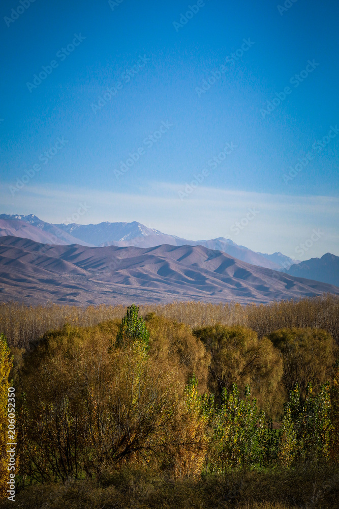 Uspallata y Pre-Cordillera + Ruta 7