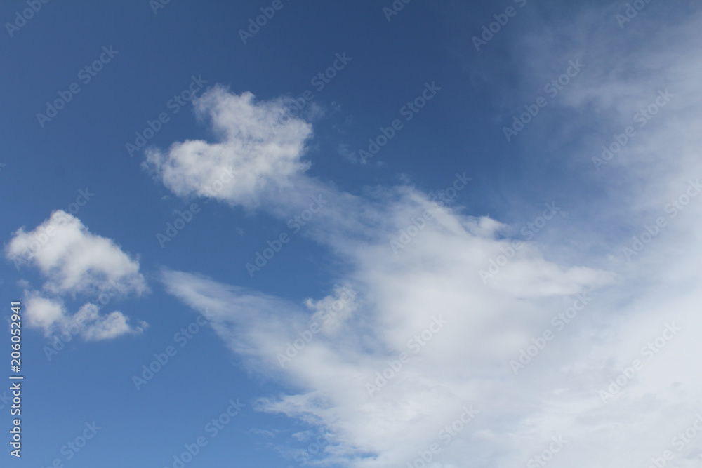 CIELO CIELO