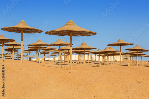 Fototapeta Naklejka Na Ścianę i Meble -  Parasols on the beach of Red Sea in Hurghada, Egypt