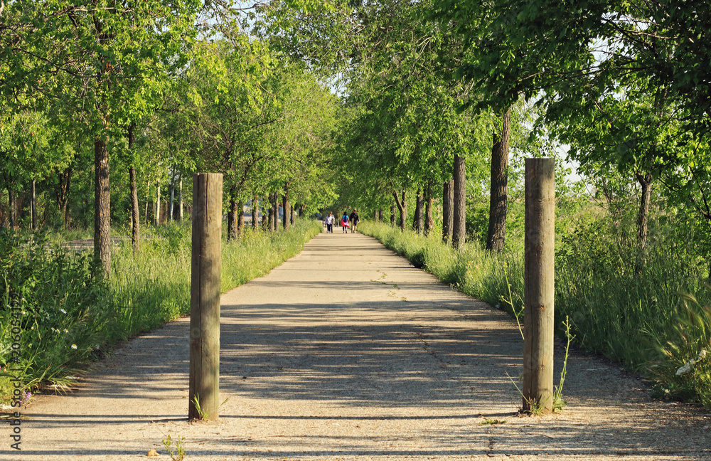 Fototapeta premium Road in the countryside