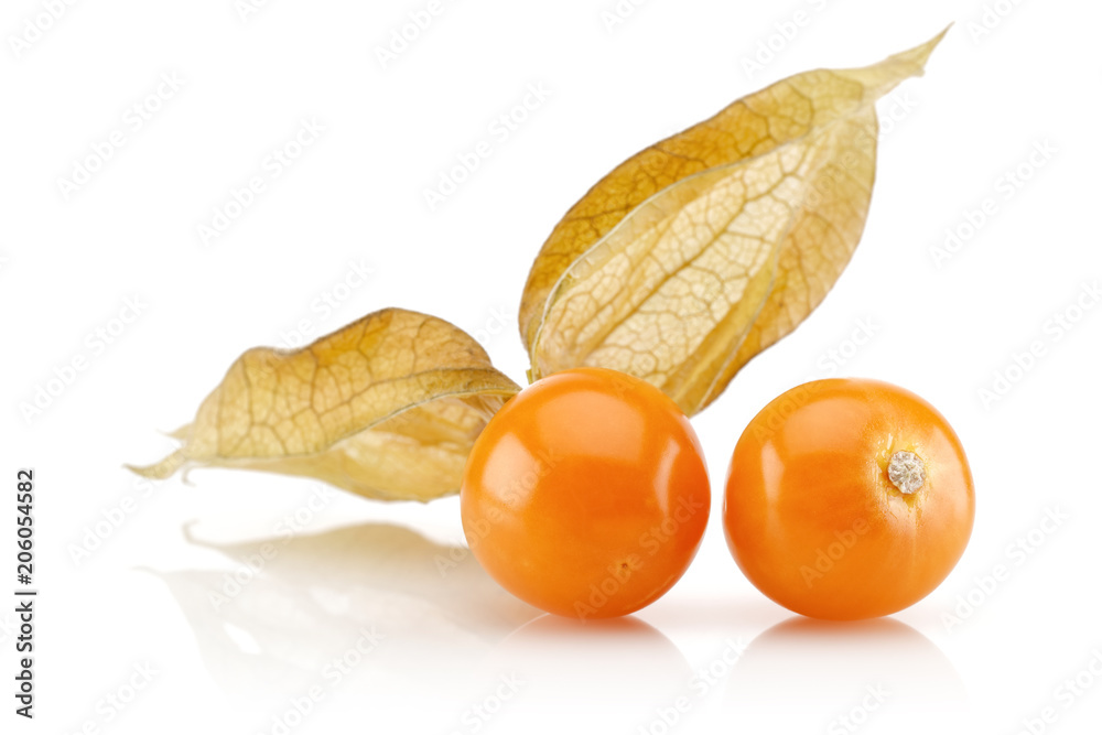 Physalis StockFoto Adobe Stock