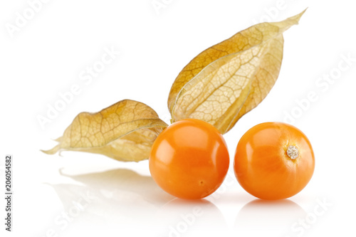 Physalis