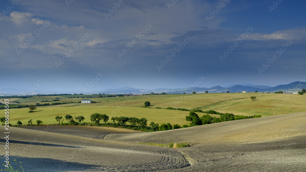 Views of the fertile lands of the rolling foothills on the road between Arcos de La Frontera and El Bosque on the boundary of the Parque natural de la Sierra de Grazalema, Andalucia, Spain