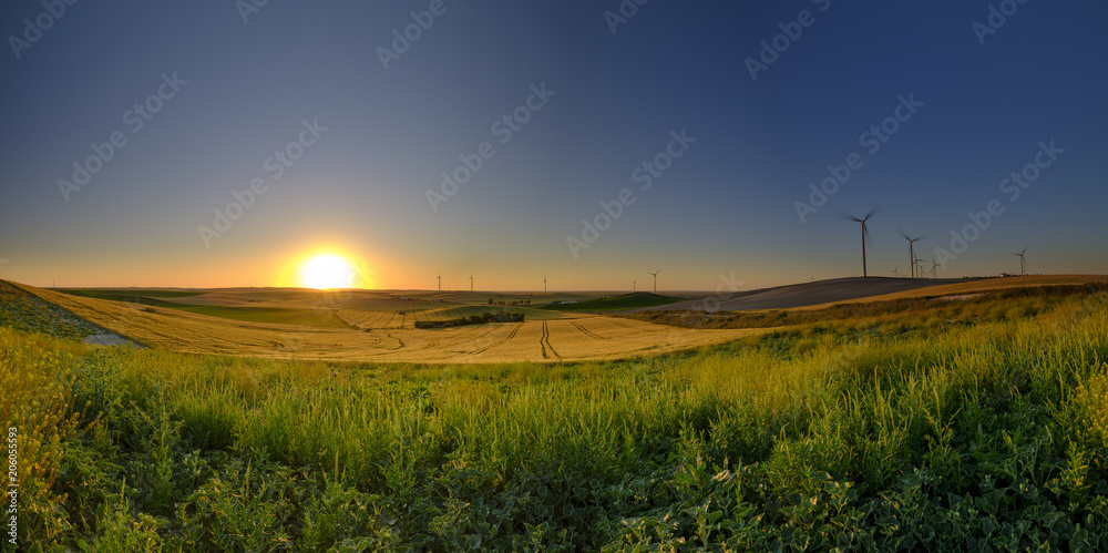 Spring evening light and sunset on the landscape near Arroyo del Olivillo between Sanlucar and Jerez de la Frontera, Cadiz, Andalucia, Spain Spring evening light and sunset on the landscape near Arroyo del Olivillo between Sanlucar and Jerez de la Frontera, Cadiz, Andalucia, Spain