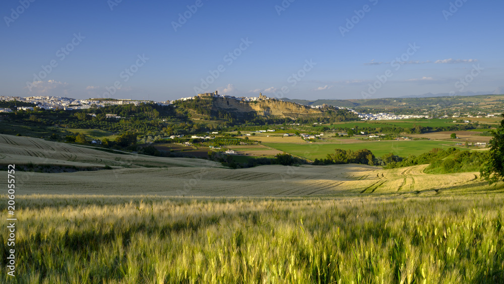 View of Arcos de la Frontera at sunset across a field of wheat from near the A-389, Andalucia, Spain