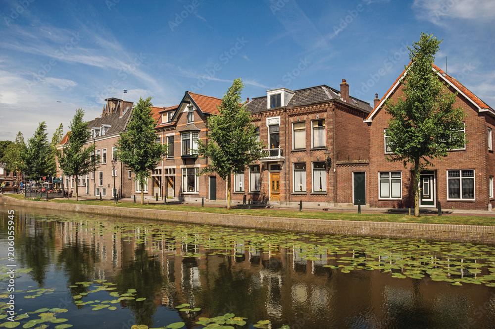 Tree-lined canal with aquatic plants and brick houses in a sunny day in Weesp. Quiet and pleasant village full of canals and green near Amsterdam. Northern Netherlands.