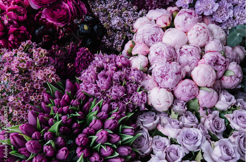 Fototapeta Naklejka Na Ścianę i Meble -  Stunning gradient of fresh blossoming flowers  from dark purple to pastel lavender colors. Top view of flowers at the florist shop: peonies, roses, tulips, carnations, ranunculus, flat lay