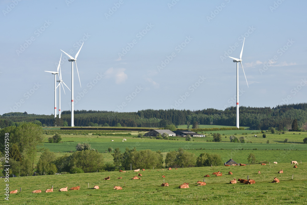 Fototapeta premium eolienne vent energie ecologie 