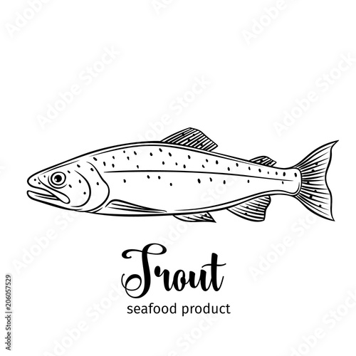 Vector trout.