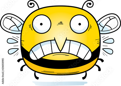Scared Little Bee